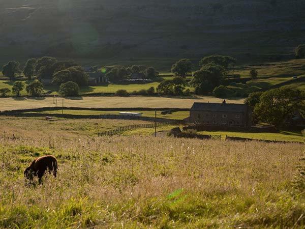 Dale House Farm Cottage Weathercote Exterior foto